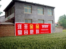 贵港如何让墙体广告展现最大化效果
