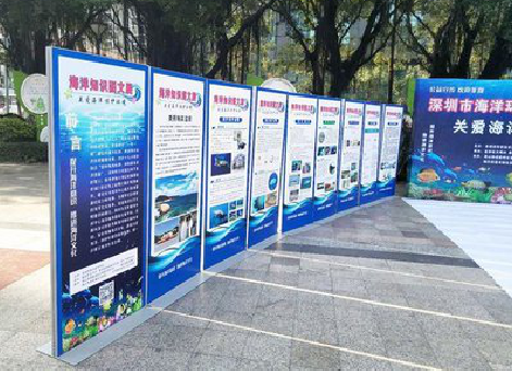 贵港KT板的种类和知识。